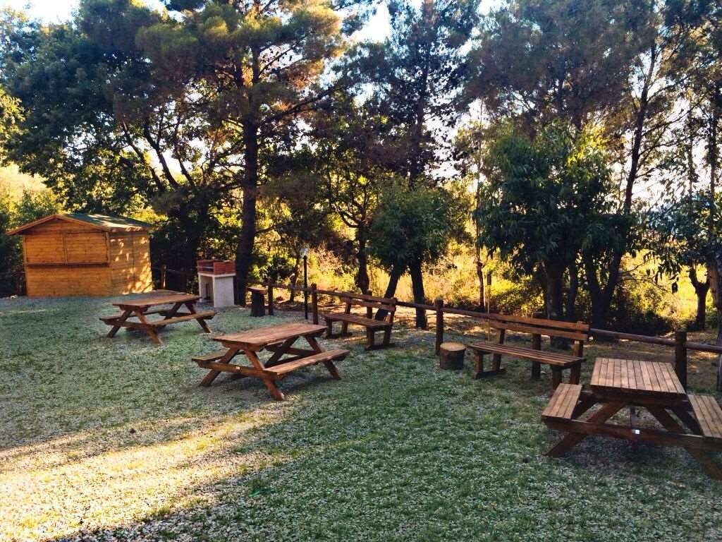 Terreno a Centola - Foto 4