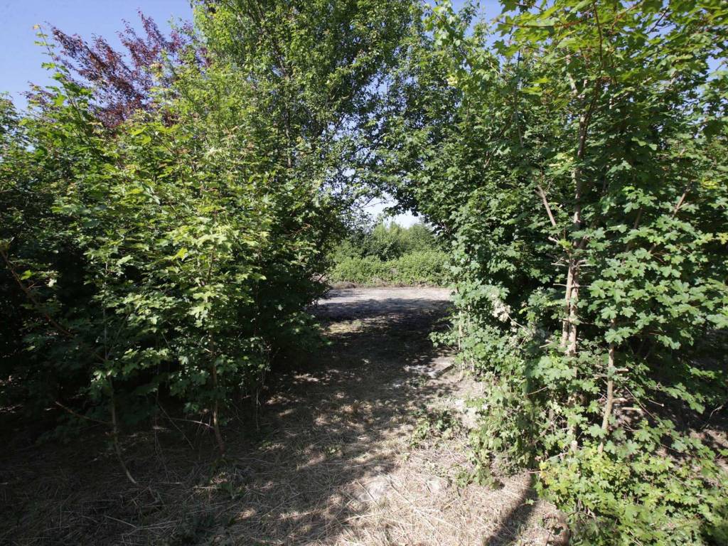 Terreno a Viano in Via Cà De Becchi - Foto 2