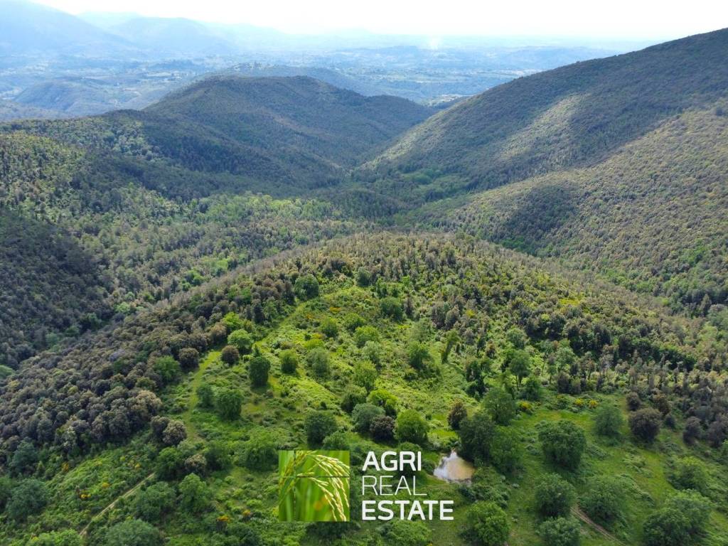 Terreno a Montebuono in Via Vecchia Provinciale Maglianese - Foto 5