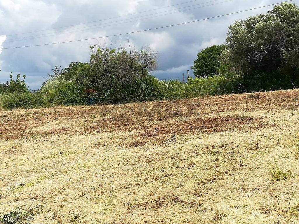 Terreno a Aprilia in via topino - Foto 2