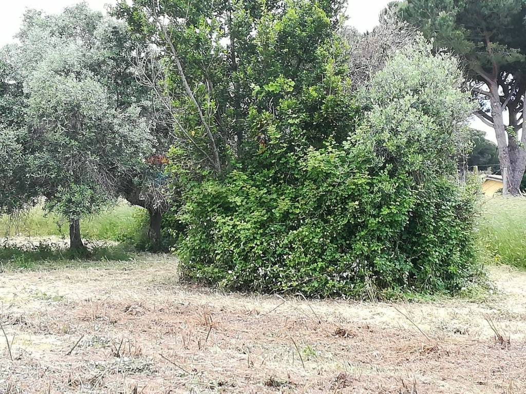 Terreno a Aprilia in via topino - Foto 3