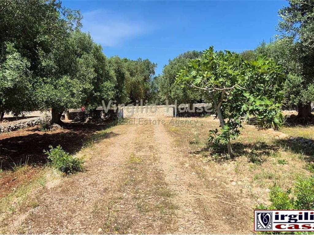 Terreno a Ostuni - Foto 2