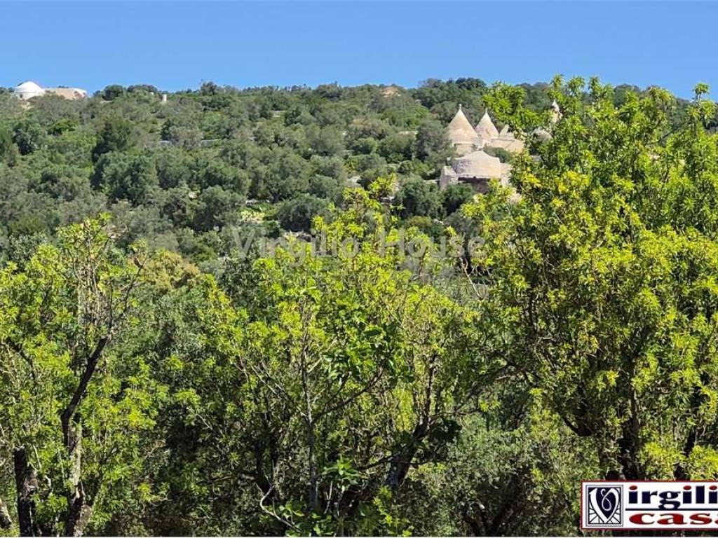 Terreno a Ostuni - Foto 3