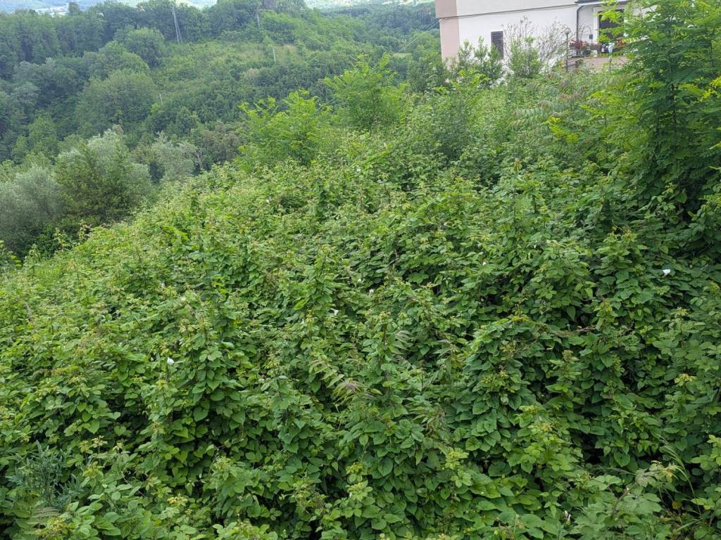 Terreno a Isernia in Via Roma - Foto 4