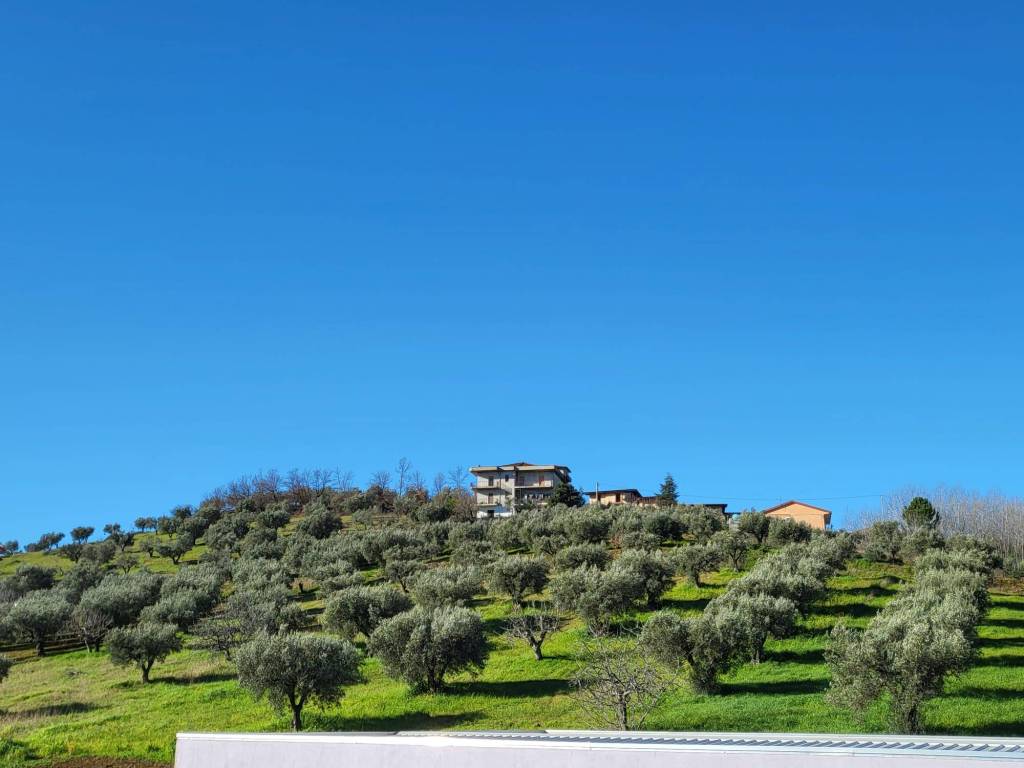 Terreno a Montalto uffugo in Via Benedetto Croce - Foto 2