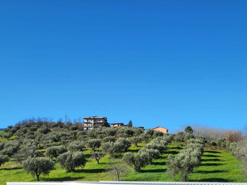 Terreno a Montalto uffugo in Via Benedetto Croce - Foto 3