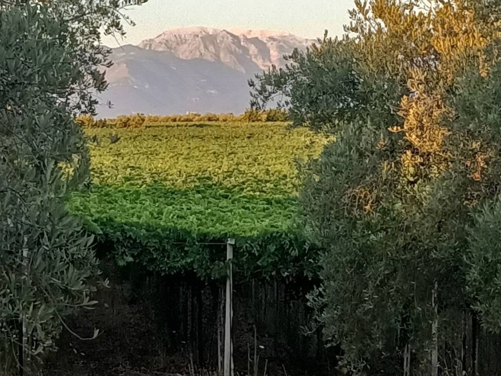 Rustico / casale a Ortona in Cappellini - Foto 3