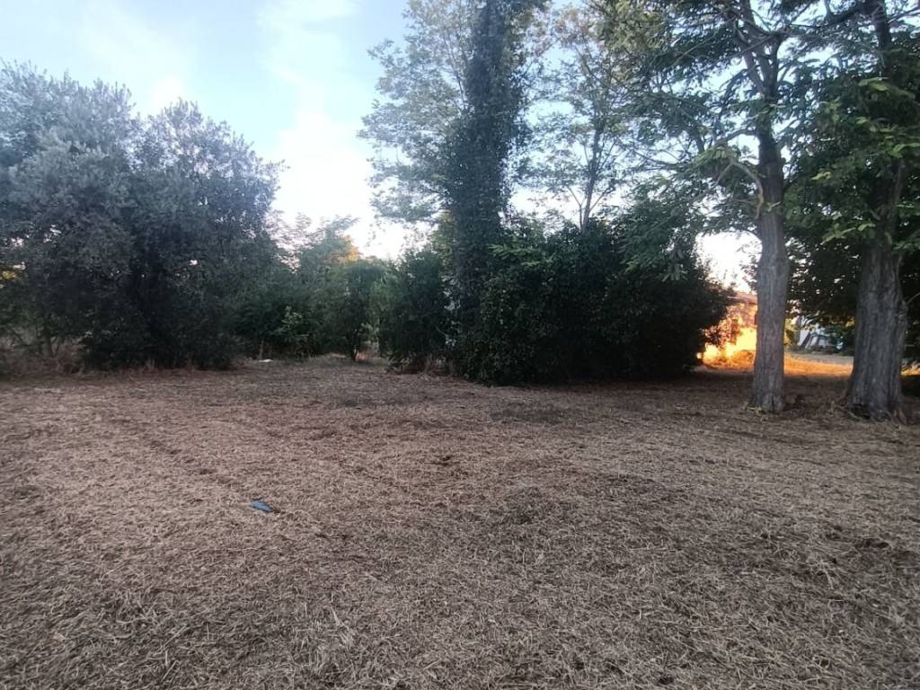 Rustico / casale a Ortona in Cappellini - Foto 4