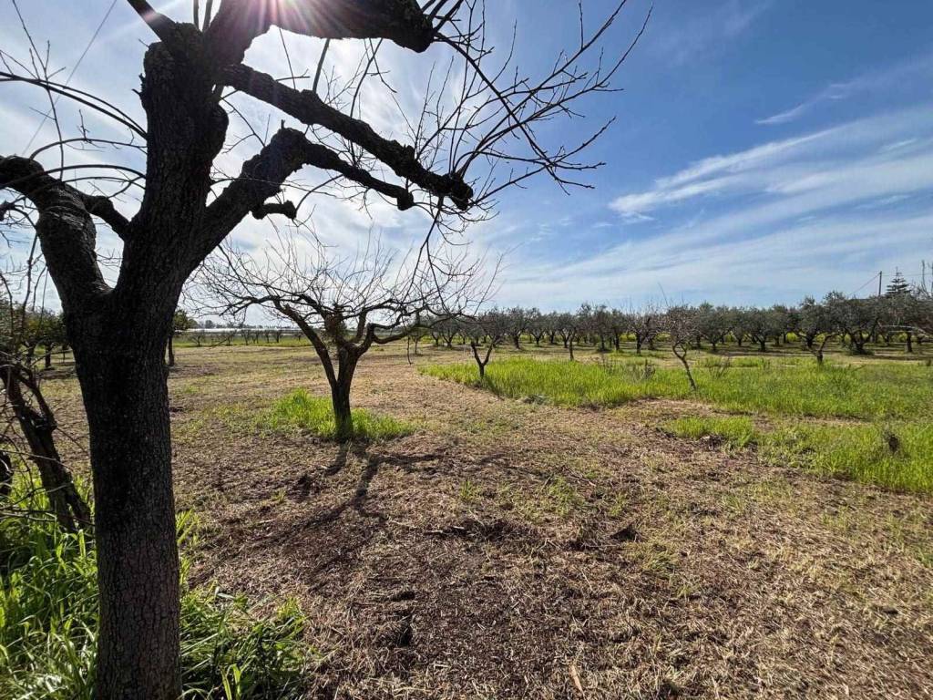Terreno a Pontecagnano faiano in Via Magellano - Foto 3