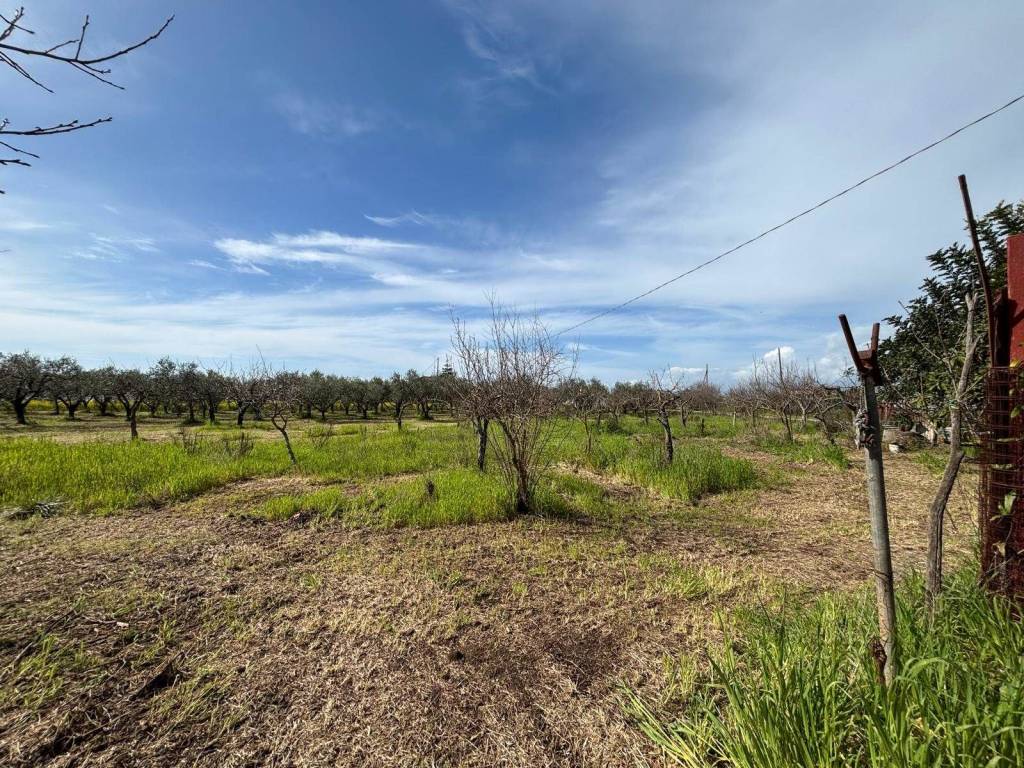 Terreno a Pontecagnano faiano in Via Magellano - Foto 4