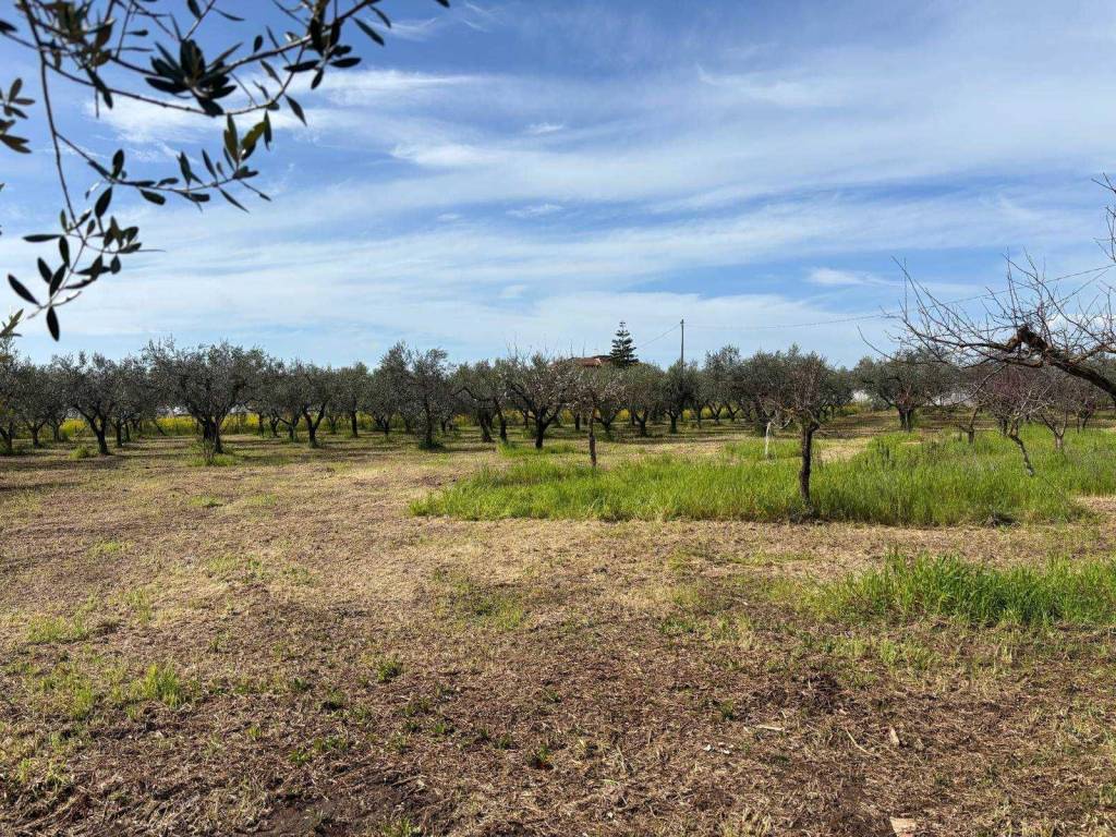 Terreno a Pontecagnano faiano in Via Magellano - Foto 5