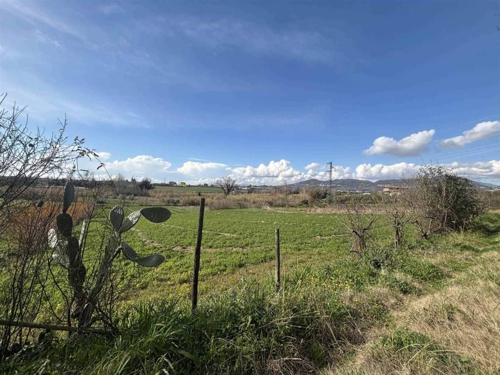 Immobile a Olevano sul tusciano in via Frosano - Foto 4