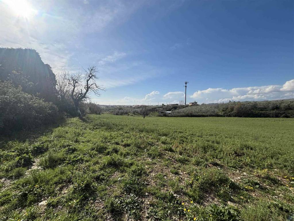 Immobile a Olevano sul tusciano - Foto 4