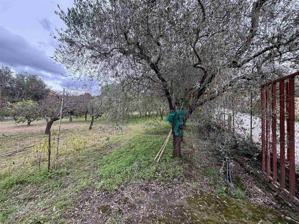 Terreno a Giffoni valle piana in Via Colle della Maddalena - Foto 4