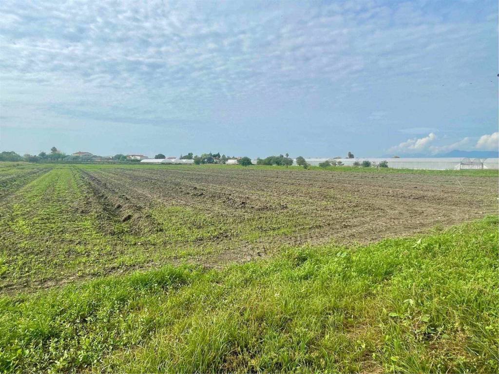 Terreno a Battipaglia in Verdesca - Foto 3