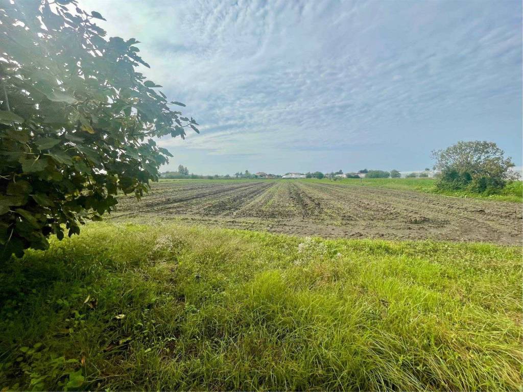 Terreno a Battipaglia in Verdesca - Foto 4