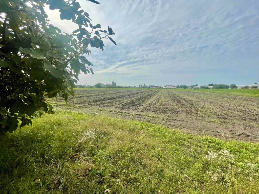 Terreno a Battipaglia in Verdesca - Foto 5