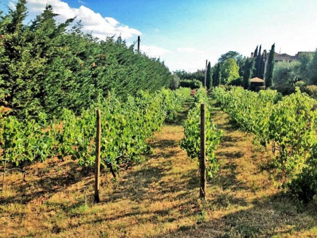 Rustico / casale a Cortona - Foto 4