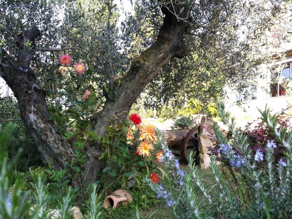 Rustico / casale a Passignano sul trasimeno - Foto 5