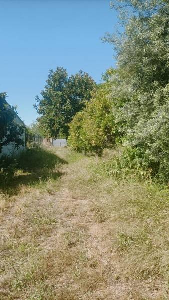 Villa a Floridia - Foto 4