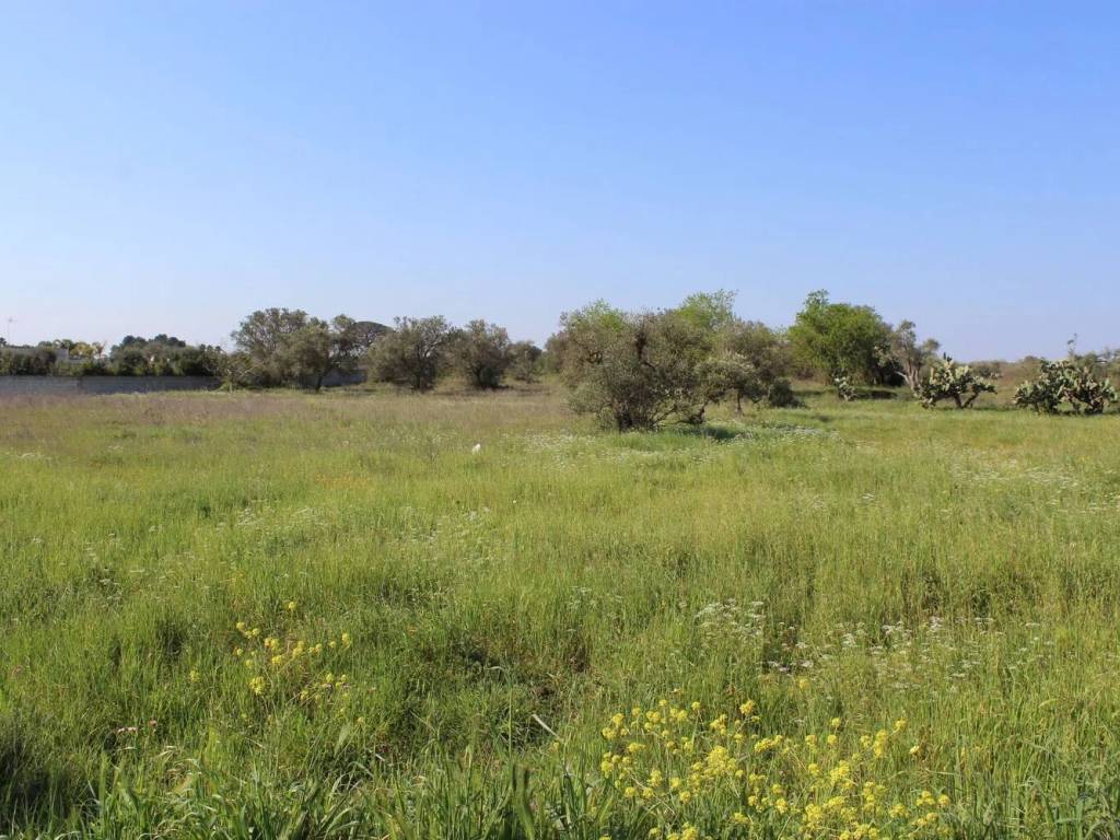 Terreno a Monteroni di lecce in Via Masseria Nuova. S.N.C. - Foto 2