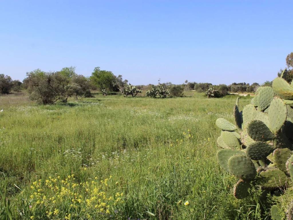 Terreno a Monteroni di lecce in Via Masseria Nuova. S.N.C. - Foto 3