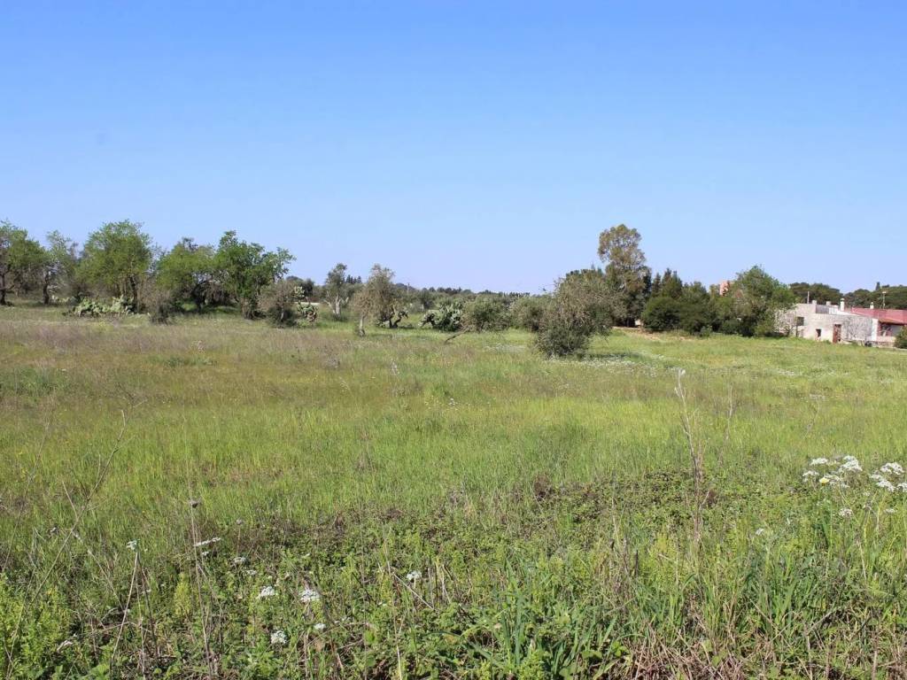 Terreno a Monteroni di lecce in Via Masseria Nuova. S.N.C. - Foto 5