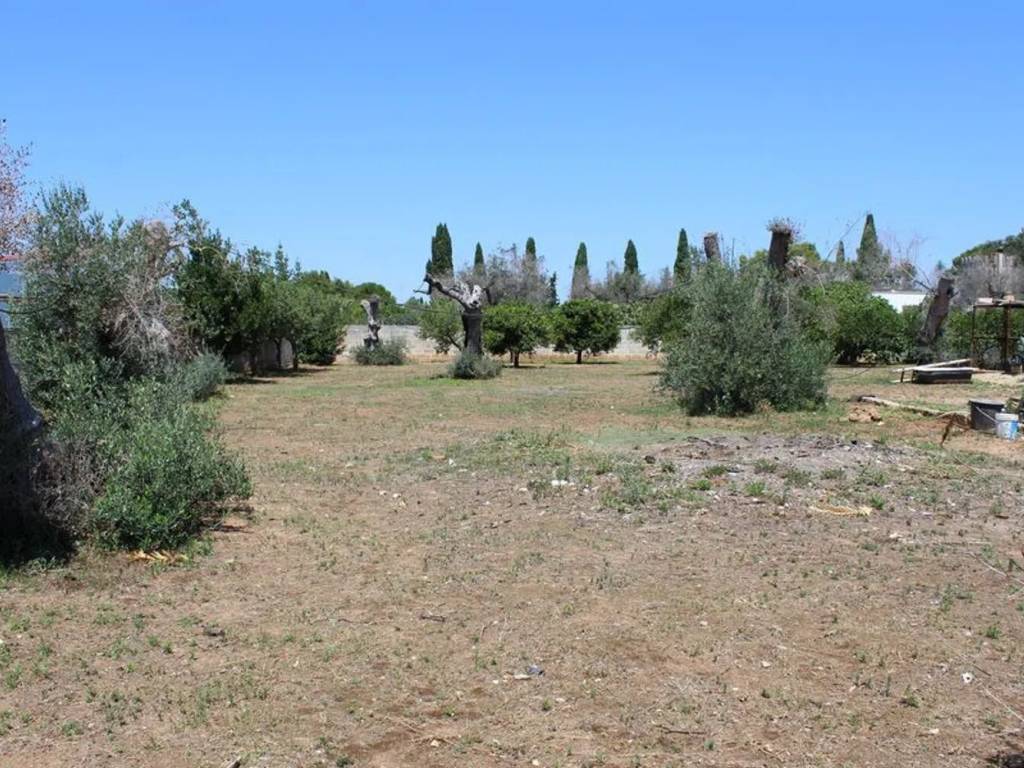Terreno a Monteroni di lecce in Zona Monte S.N.C. - Foto 4