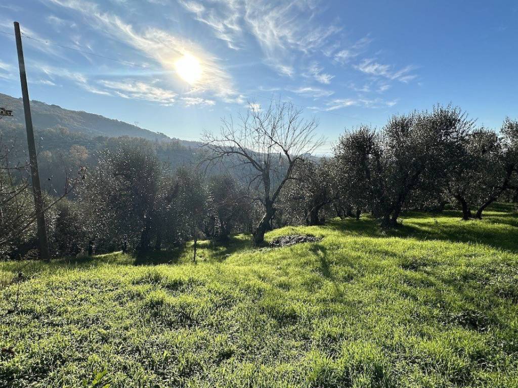 Villa a Larciano - Foto 3