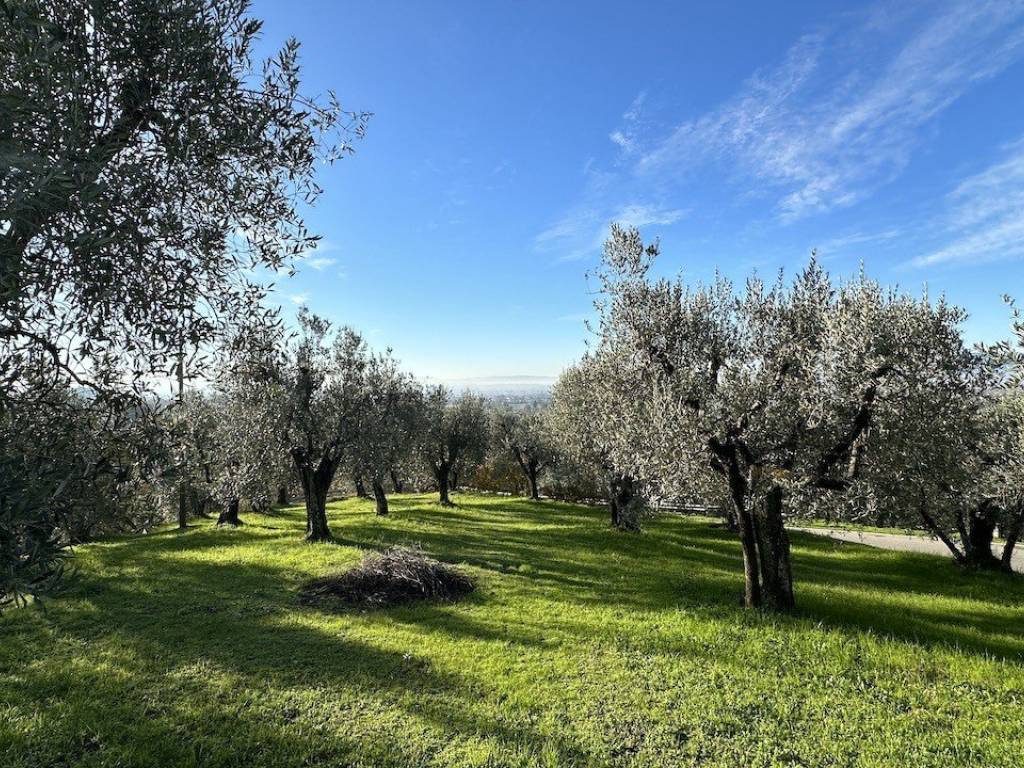 Villa a Larciano - Foto 4