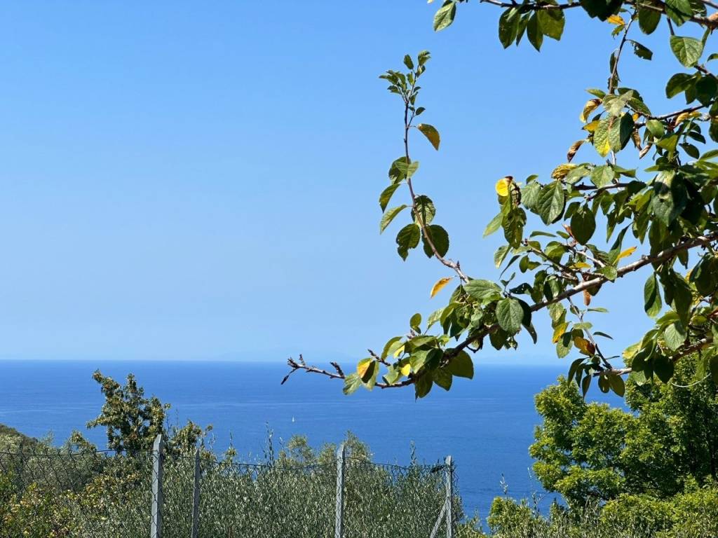 Rustico / casale a Monte argentario in Via della Cacciarella - Foto 4