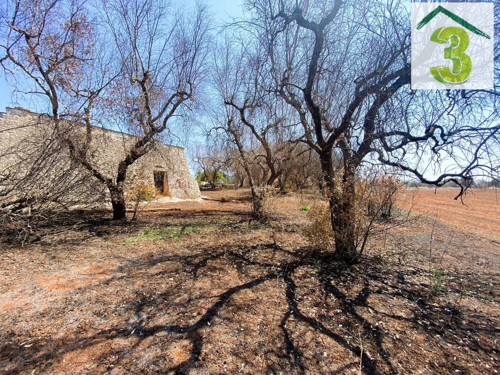 Terreno a Tricase in Strada Comunale del Mito - Foto 5