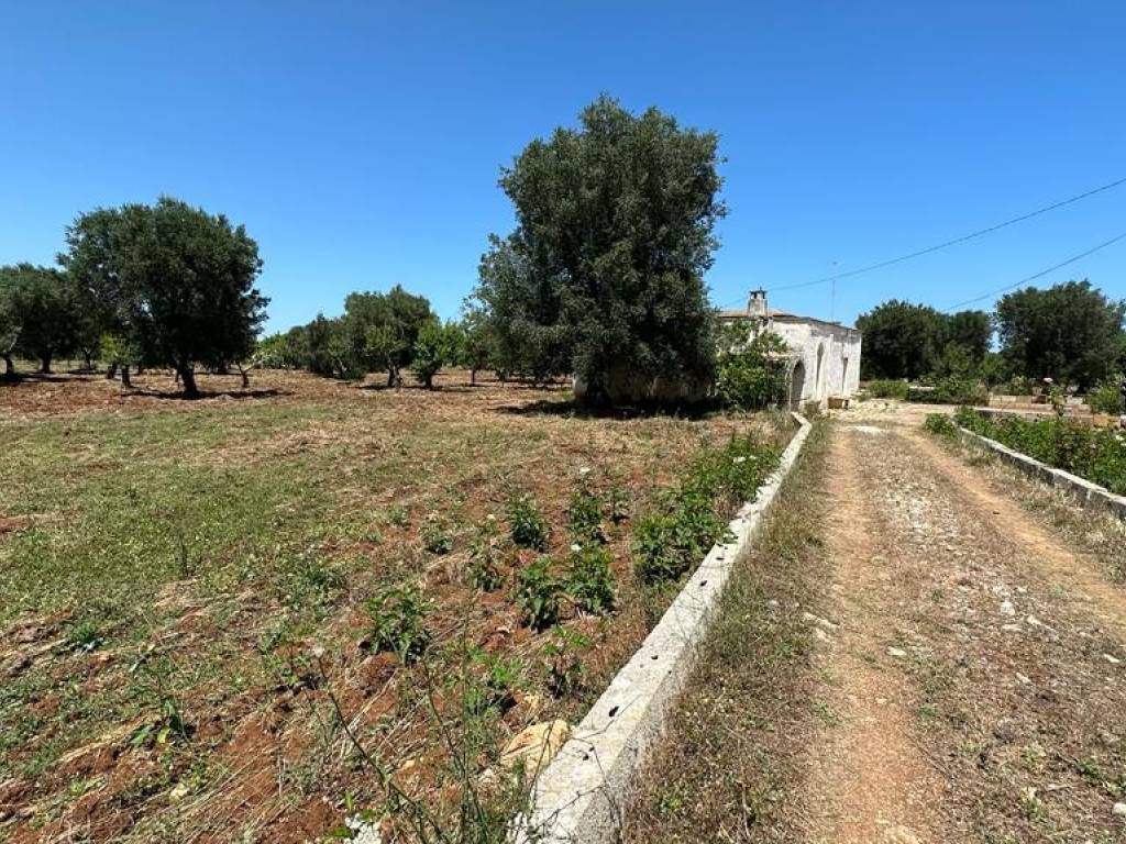 Rustico / casale a Ceglie messapica in SS581 - Foto 5