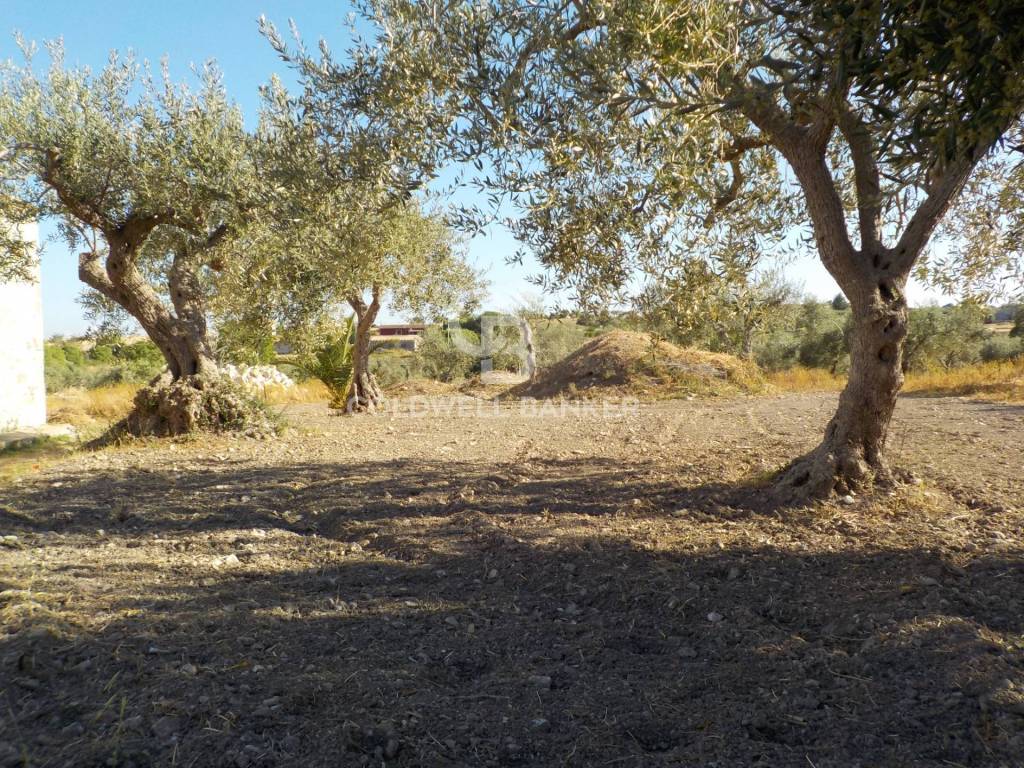 Casa indipendente a Modica in Via Calanchi Favarotta, 12 - Foto 3