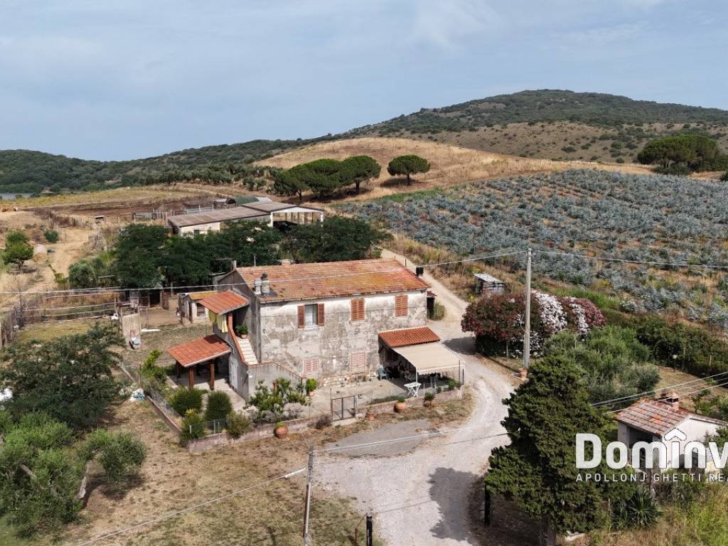 Rustico / casale a Capalbio in Strada Valmarina - Foto 4