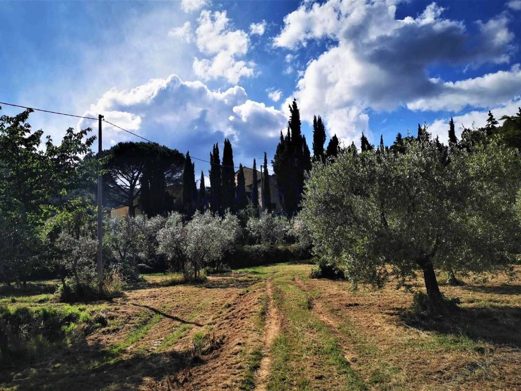 Terreno a Loro ciuffenna - Foto 2