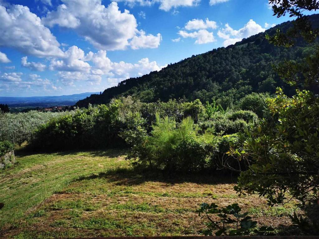 Terreno a Loro ciuffenna - Foto 3