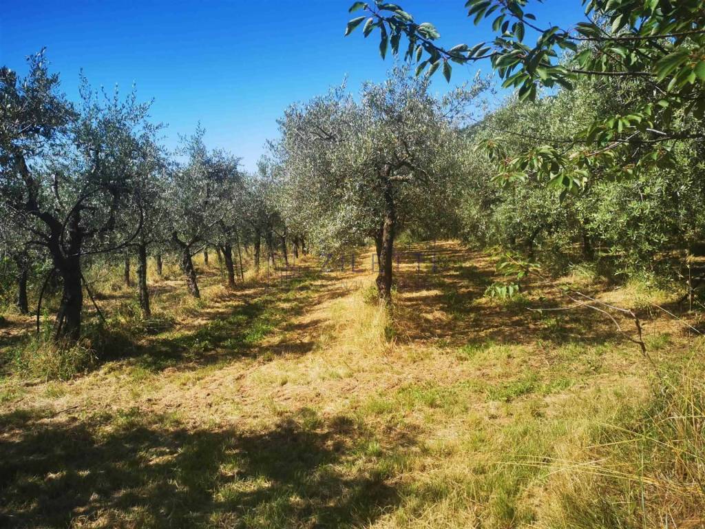 Terreno a Loro ciuffenna - Foto 4