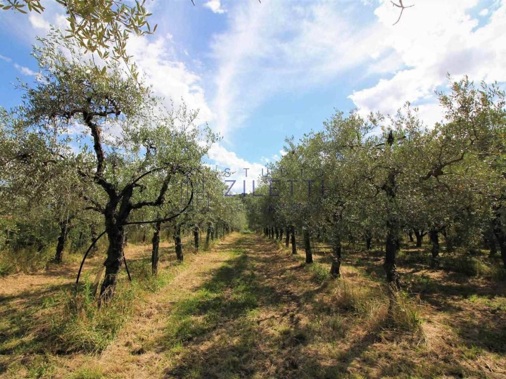 Terreno a Loro ciuffenna - Foto 5