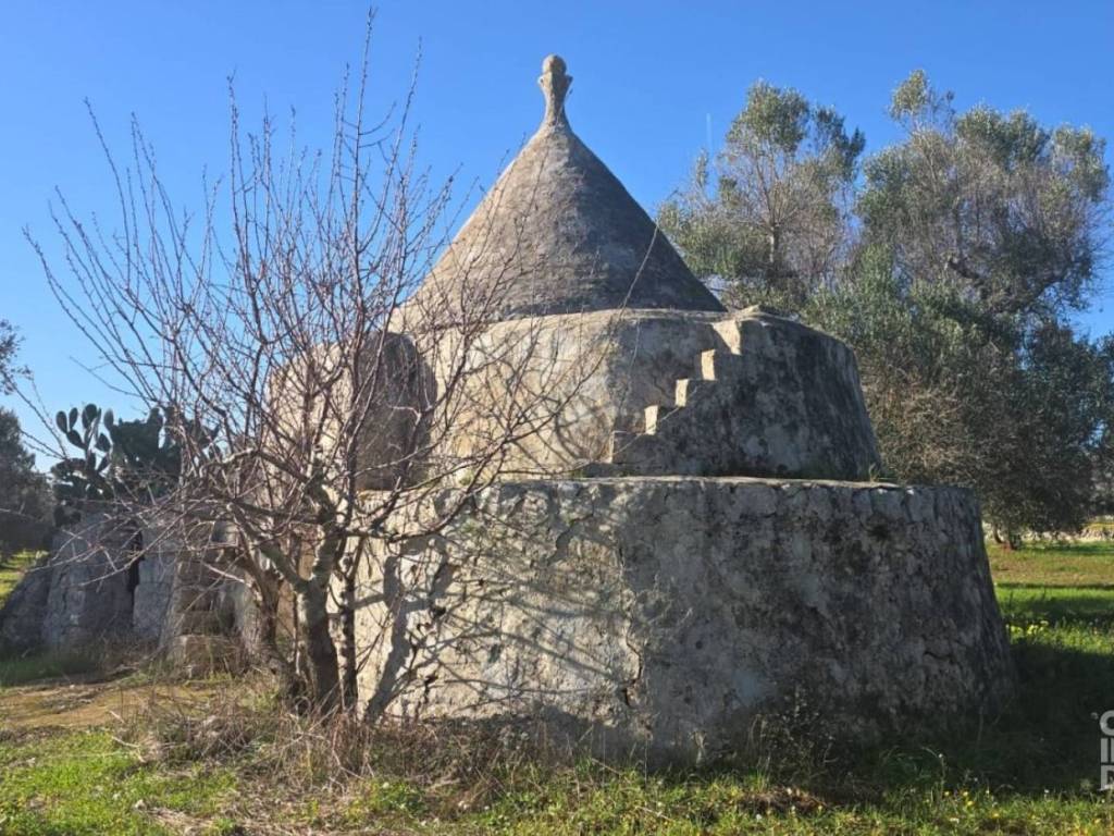 Rustico / casale a Carovigno in Contrada Colacurto - Foto 2