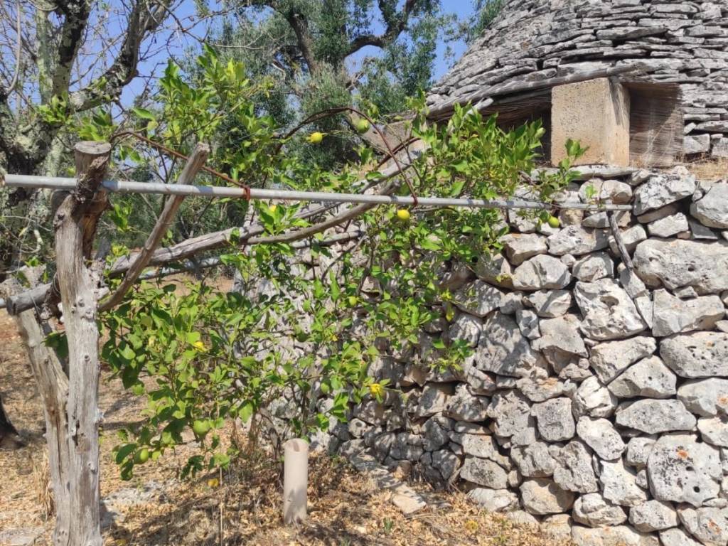 Rustico / casale a Ceglie messapica in C.da Pezze Sant'Angelo - Foto 4