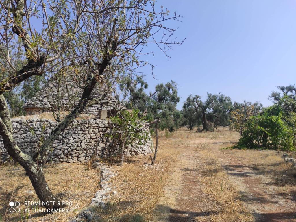 Rustico / casale a Ceglie messapica in C.da Pezze Sant'Angelo - Foto 5