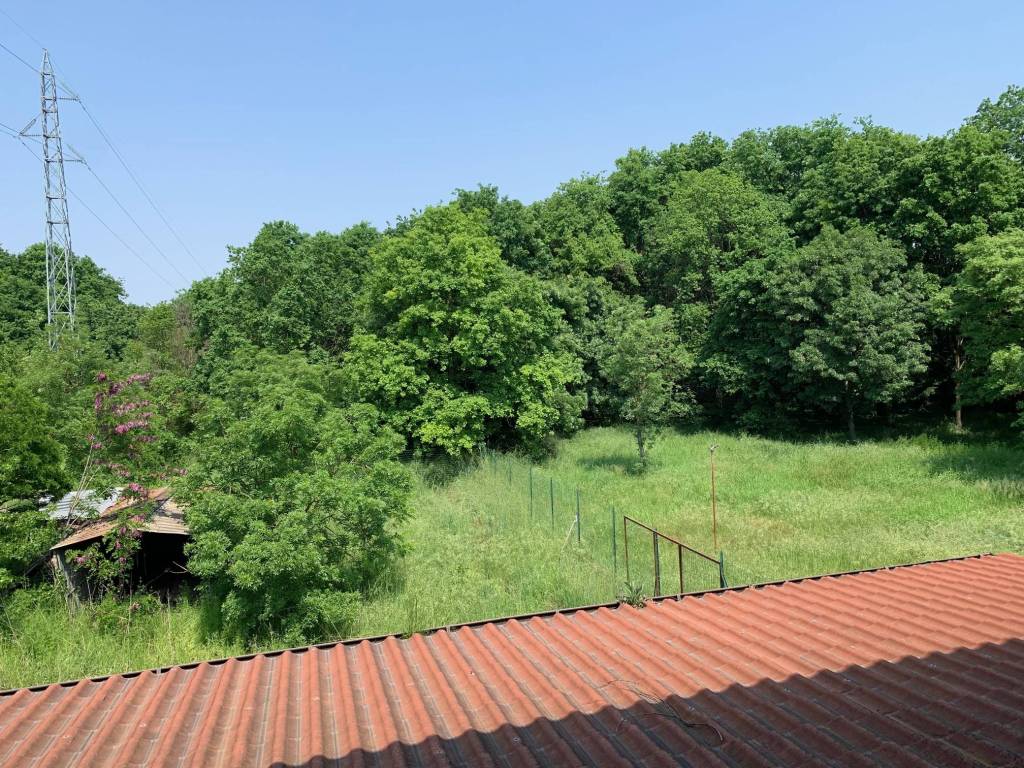 Terreno a Isola della scala in Strada Provinciale di Bonferraro - Foto 4