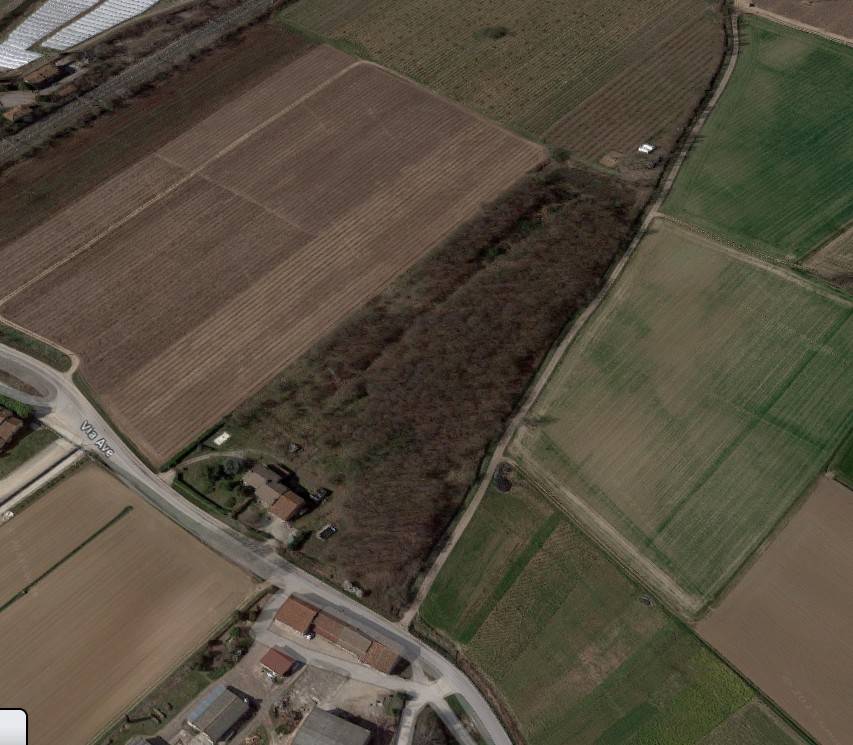 Terreno a Isola della scala in Strada Provinciale di Bonferraro - Foto 5