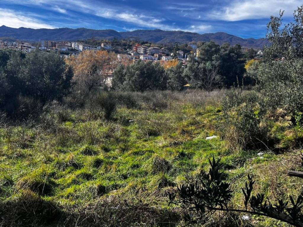 Terreno a Mendicino in via località Ferrera, snc - Foto 2