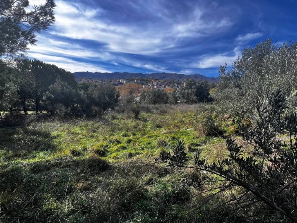 Terreno a Mendicino in via località Ferrera, snc - Foto 3