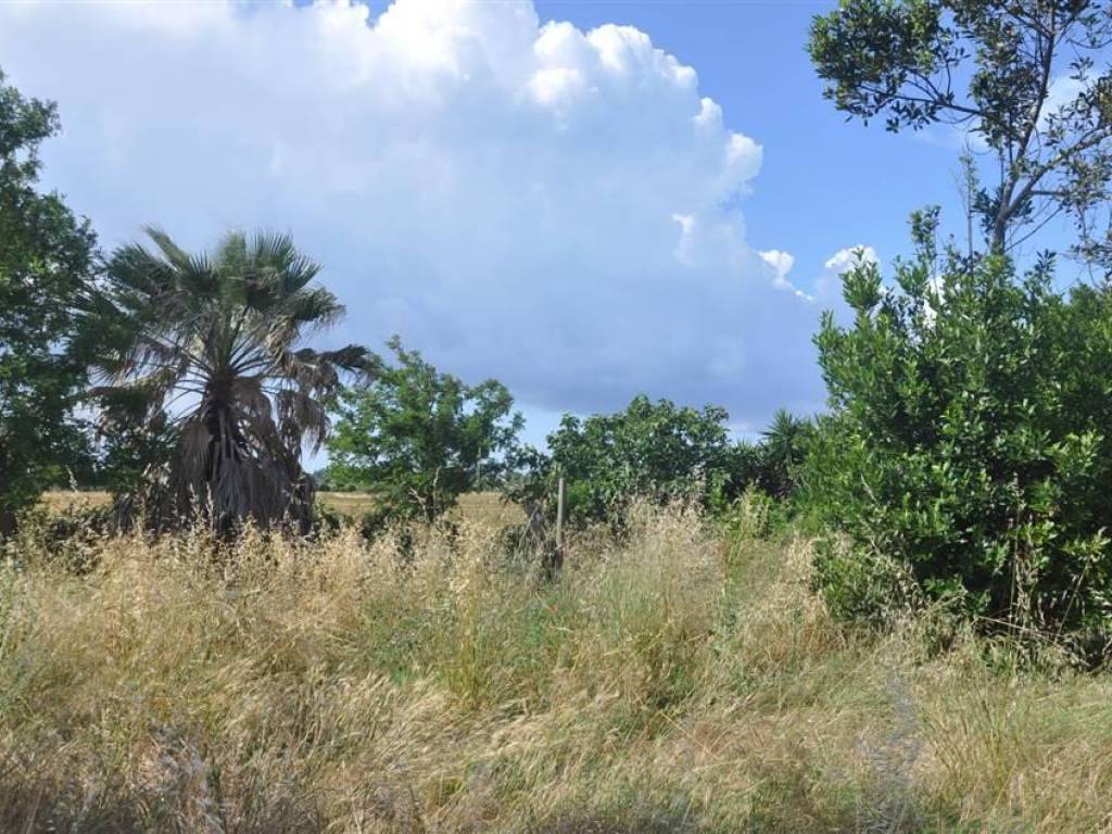 Rustico / casale a Rosignano marittimo in Stradone del Belvedere - Foto 5