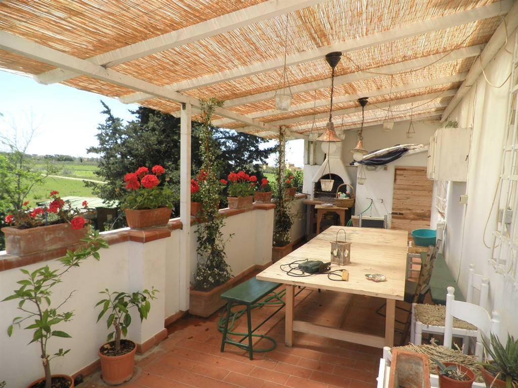 Rustico / casale a Rosignano marittimo in Stradone del Belvedere - Foto 4