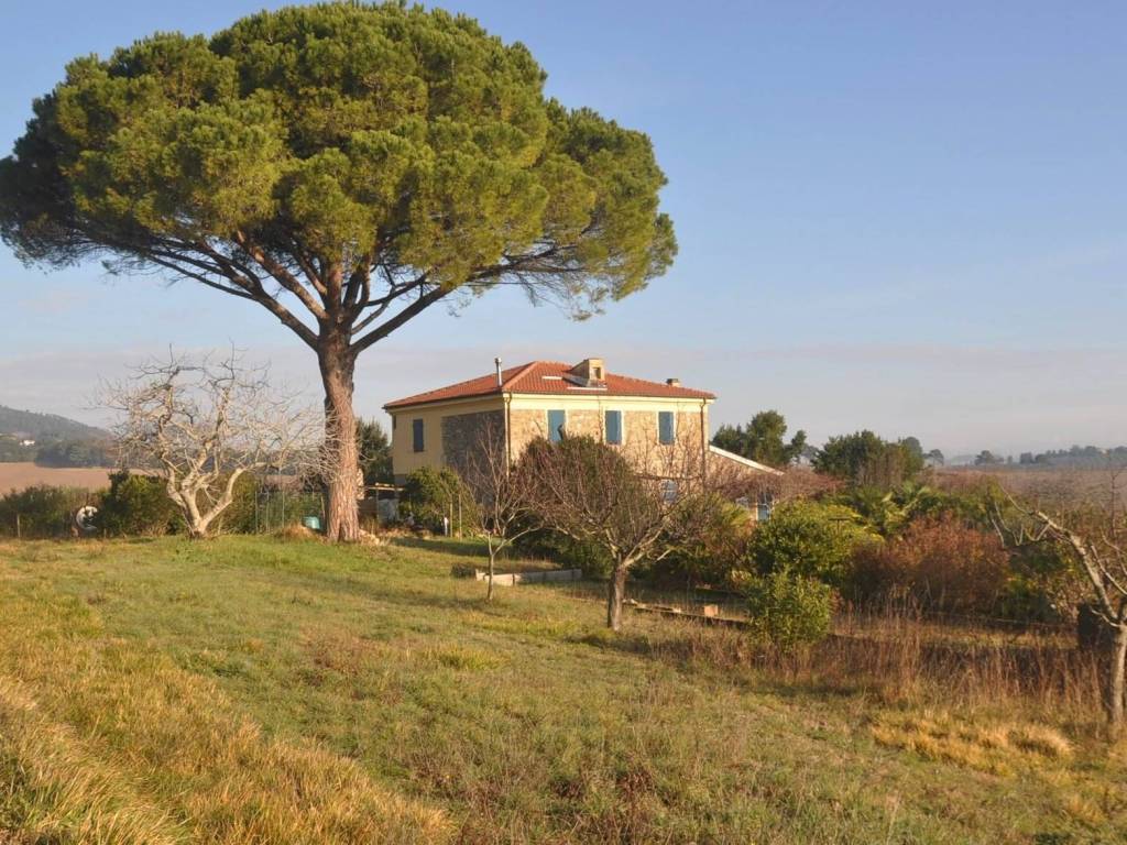 Rustico / casale a Rosignano marittimo in Strada Traversa livornese - Foto 2