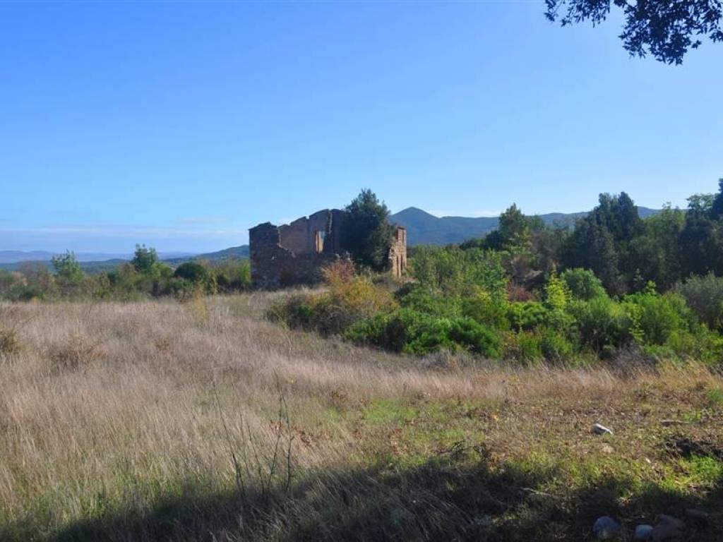 Rustico / casale a Bibbona in Faltona alta - Foto 3
